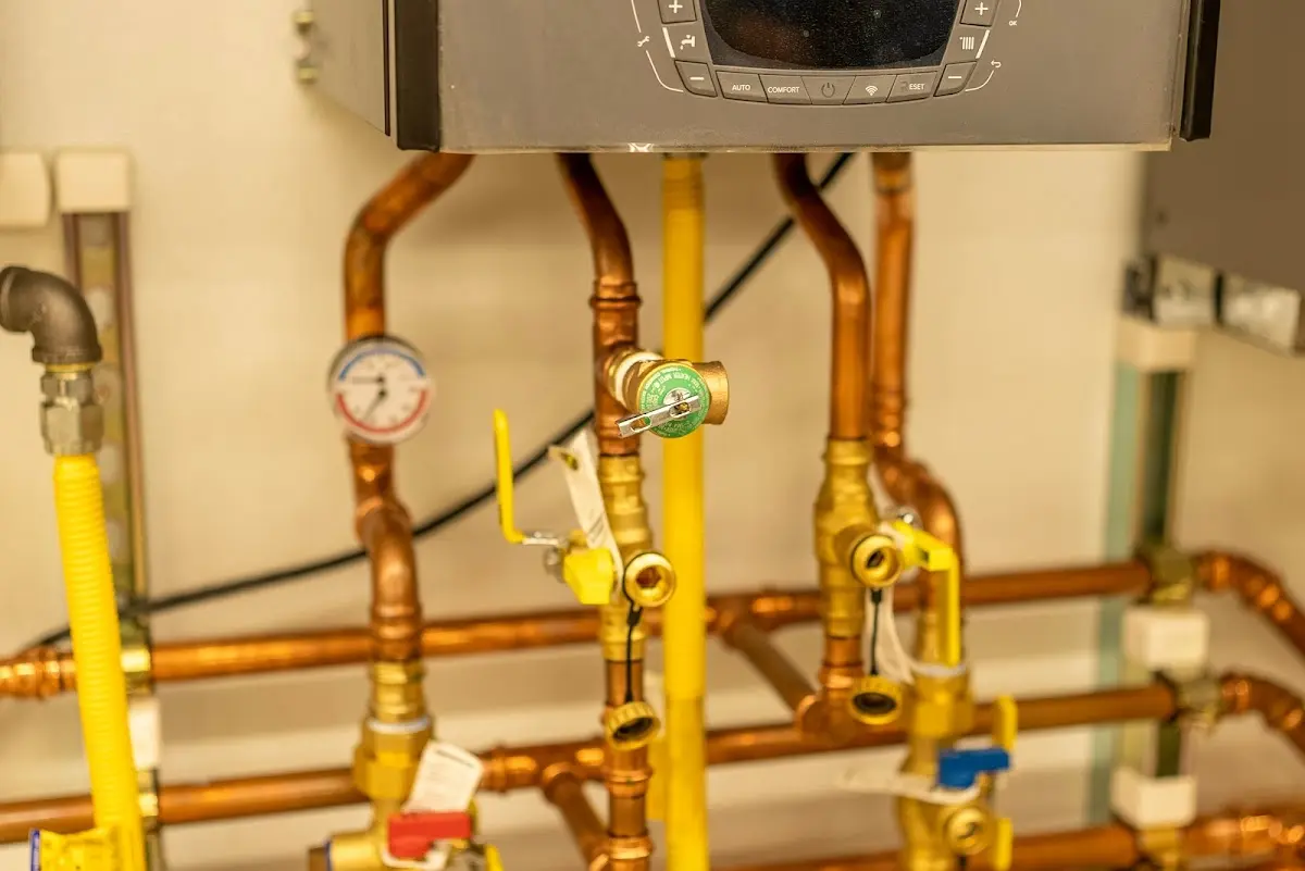 Licensed technician providing Emergency Plumbing for a homeowner in Waynesville